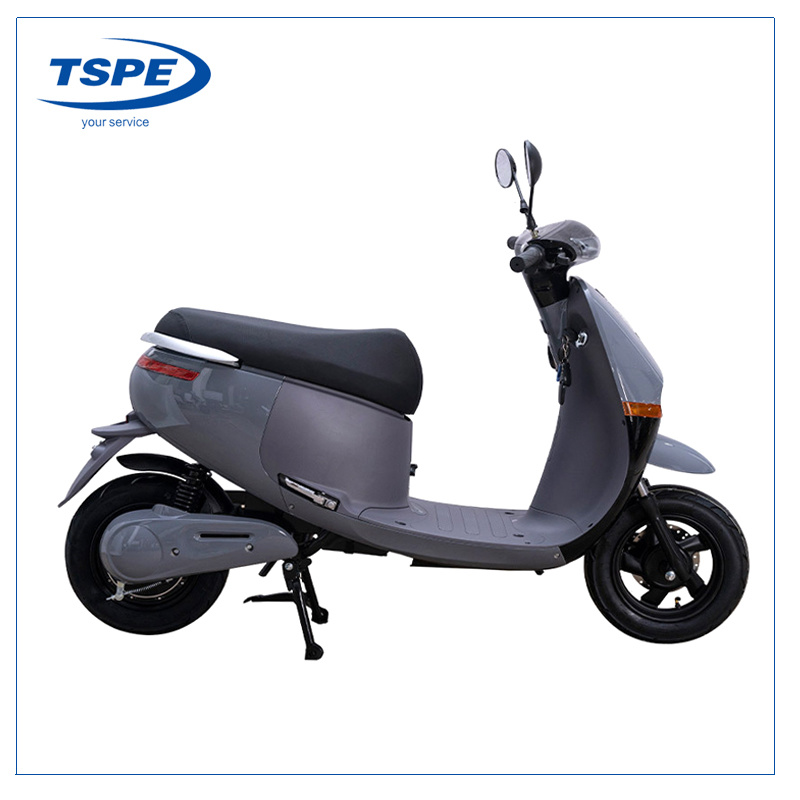 Scooter eléctrico Nueva motocicleta eléctrica Gogo 48V/60V/72V