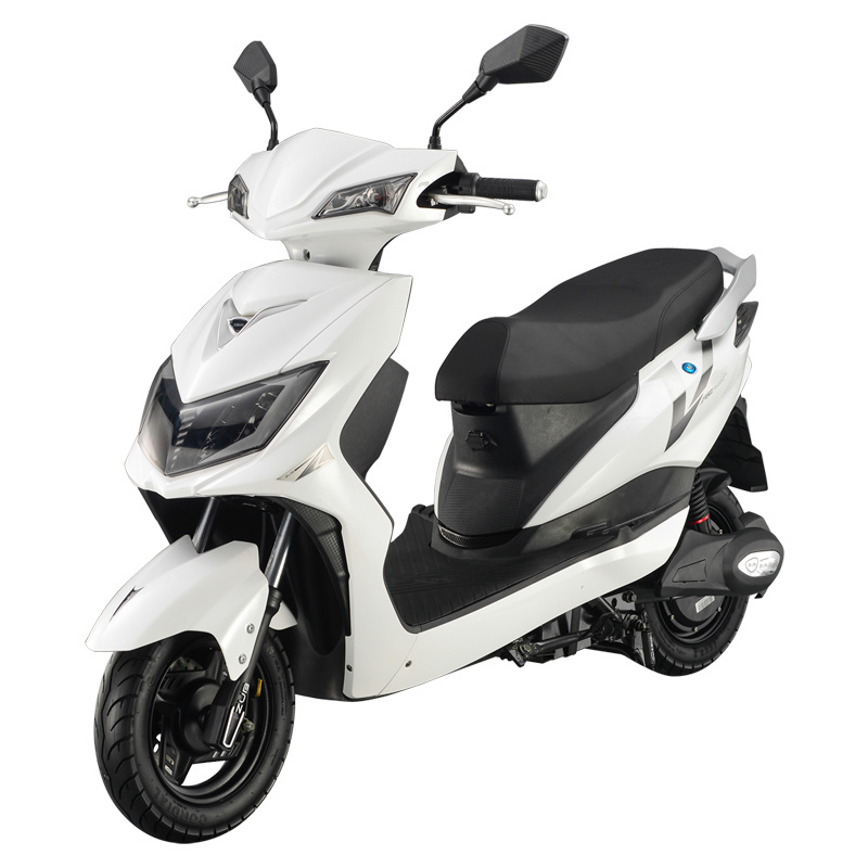 60V 1000W Scooter eléctrico motocicleta eléctrica para Ts-J